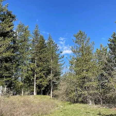 Immerso Nel Verde Del Parco D'abruzzo Pescasseroli