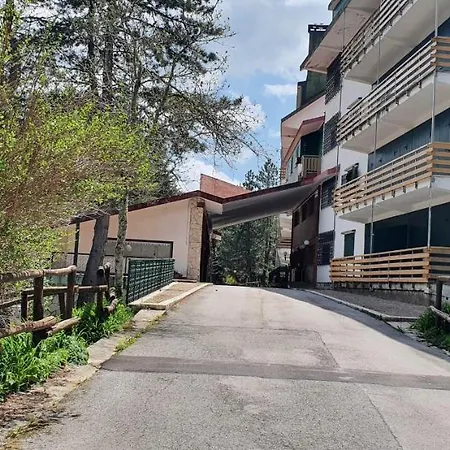 Immerso Nel Verde Del Parco D'abruzzo Apartment *